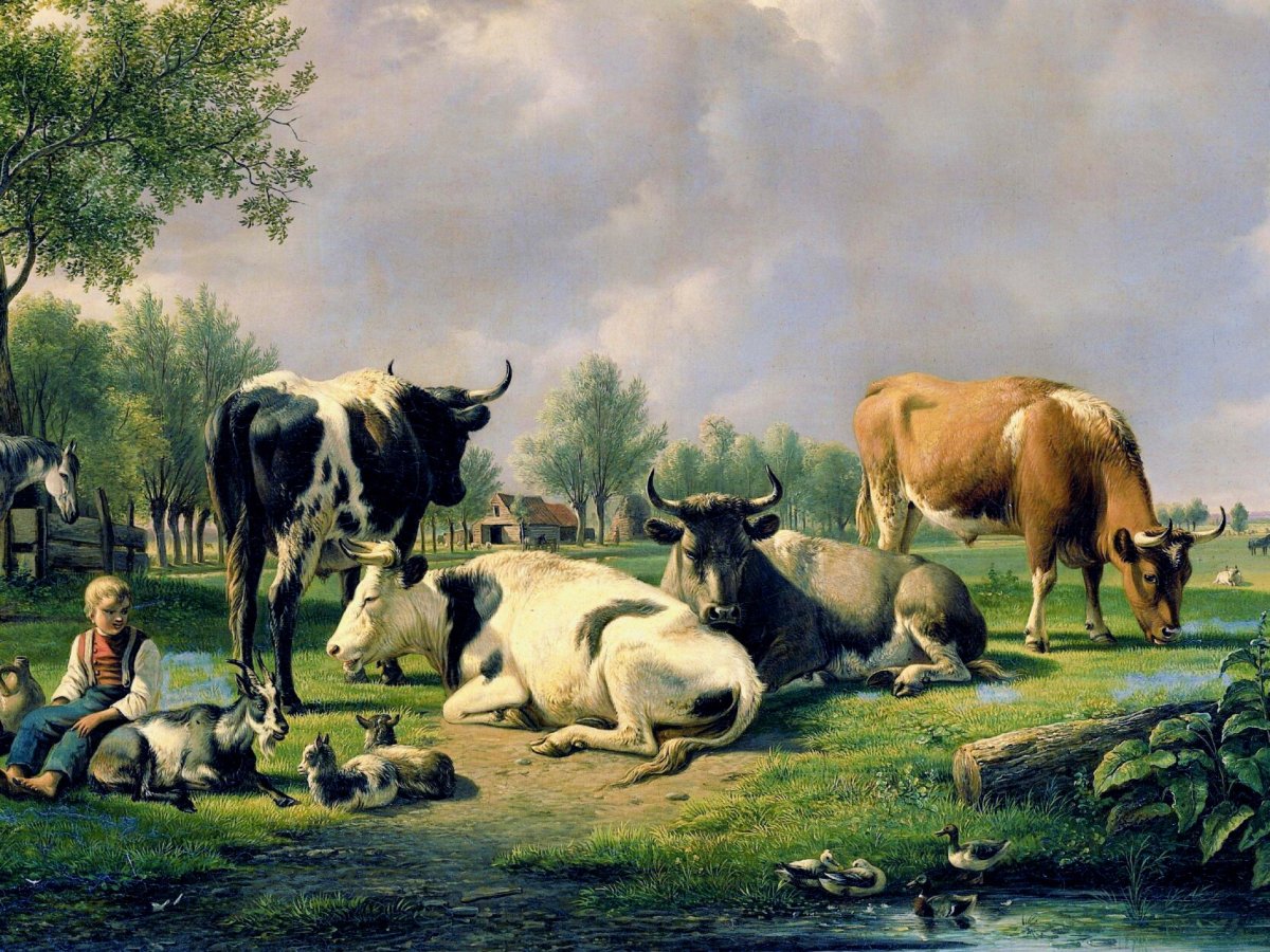 A Social Guide to Being Vegan in a Meat Eaters’&nbsp;World